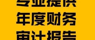 財(cái)務(wù)報(bào)表審計(jì)報(bào)告的費(fèi)用是多少？